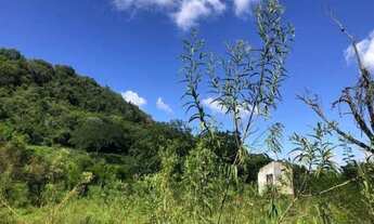 Imagem 4: Rurais à venda - no Centro