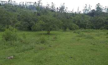 Imagem: Rurais à venda - no Centro