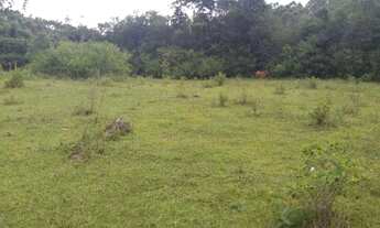 Imagem 4: Rurais à venda - no Centro