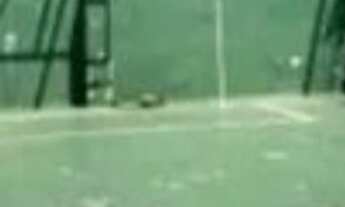 Imagem 6: APARTAMENTO RESIDENCIAL em RIO DE JANEIRO - RJ, PECHINCHA