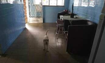 Imagem 7: PADRÃO em Rio de Janeiro - RJ, Taquara