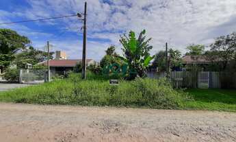 Imagem: Terreno com pouca vegetação, face norte