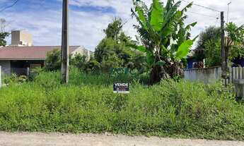 Imagem 4: Terreno com pouca vegetação, face norte, no Balneário Itamar, pertinho da praia