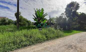Imagem 5: Terreno com pouca vegetação, face norte, no Balneário Itamar, pertinho da praia