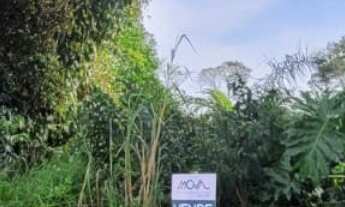 Imagem: Terreno em Itapoá - com possibilidade de