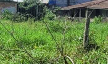 Imagem: Terreno com 384m² - Bairro Bamerindus