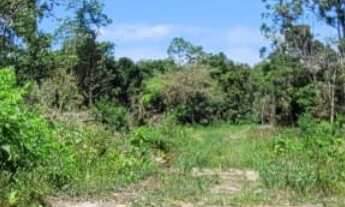 Imagem 4: Terreno com rua aberta, 100% documentado