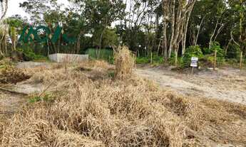 Imagem 4: Terreno Limpo e Demarcado a 3 Quadras do Asfalto no Balneário Uirapuru - Pronto para Const