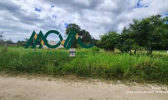 Imagem 2: Terreno com pouca vegetação, perto da praia! Apenas 250 metros do mar!