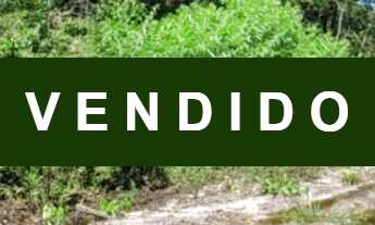 Imagem 2: DOIS TERRENOS JUNTOS 24X32, com rua aberta, 100% documentado