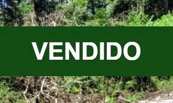 Imagem: Terreno com rua aberta, 100 documentado