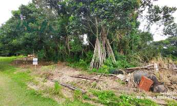Imagem 2: Terreno face norte, com 384m², balneário Imperador em Itapoá