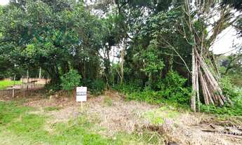 Imagem: Terreno face norte, com 384m², balneário