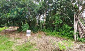 Imagem: Terreno face norte, com 384m², balneário