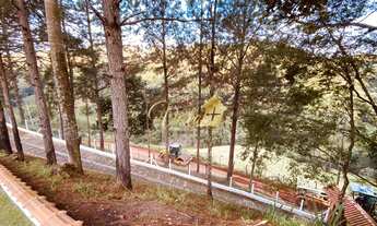 Imagem 5: CHACARA RURAL em MONTEIRO LOBATO - SP, Centro