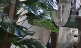 Imagem 3: CASA EM ILHABELA NO BAIRRO DO PEREQUÊ, AGENDE SUA VISITA!