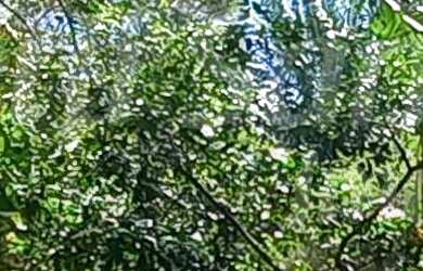 Imagem 4: Área á venda no Sul da Ilhabela, próximo a Praia do Portinho e Feiticeira EM ILHABELA - SP