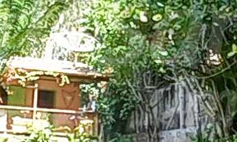 Imagem: Área á venda no Sul da Ilhabela, próximo