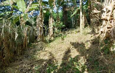 Imagem 4: TERRENO À VENDA COM ESCRITURA DEFINITIVA - BARRA VELHA - ILHABELA SP