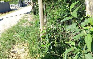 Imagem 6: TERRENO À VENDA COM ESCRITURA DEFINITIVA - BARRA VELHA - ILHABELA SP