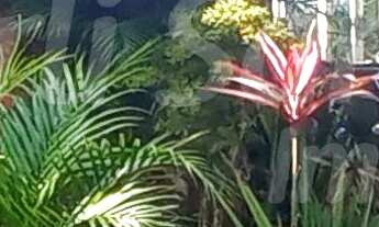 Imagem 2: LINDA CASA EM EXCELENTE LOCALIZAÇÃO NO PEREQUE - ILHABELA!