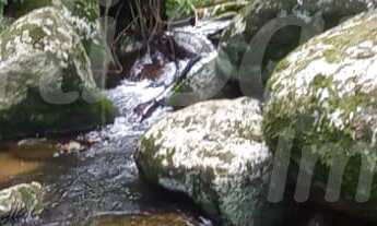Imagem: GRANDE ÁREA À VENDA COM VISTA PARA O MAR