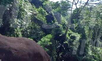 Imagem 6: GRANDE ÁREA À VENDA COM VISTA PARA O MAR E CACHOEIRA NO SUL DA ILHABELA -SP