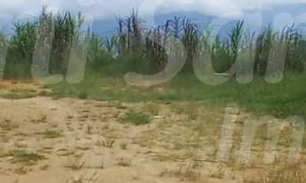 Imagem 2: TERRENO À VENDA PARA INVESTIMENTO NO BAIRRO DO ZABUMBA EM ILHABELA-SP