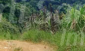 Imagem 3: TERRENO À VENDA PARA INVESTIMENTO NO BAIRRO DO ZABUMBA EM ILHABELA-SP