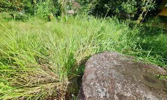 Imagem 7: TERRENO PLANO À VENDA NA COSTA BELA EM ILHABELA-SP