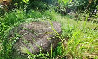 Imagem 6: TERRENO PLANO À VENDA NA COSTA BELA EM ILHABELA-SP