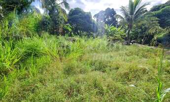 Imagem 2: TERRENO PLANO À VENDA NA COSTA BELA EM ILHABELA-SP