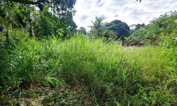 Imagem 5: TERRENO PLANO À VENDA NA COSTA BELA EM ILHABELA-SP