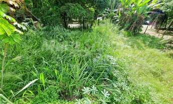 Imagem 3: TERRENO PLANO À VENDA NA COSTA BELA EM ILHABELA-SP