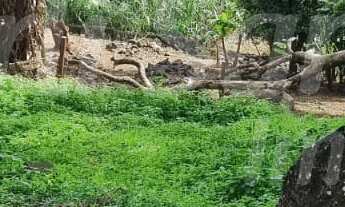 Imagem: OPORTUNIDADE DE TERRENO À VENDA NA PRAIA
