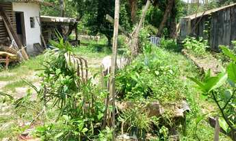 Imagem 5: TERRENO PLANO COM GALPÃO À VENDA NO PORTINHO EM ILHABELA-SP