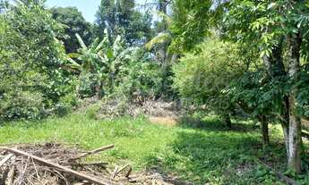Imagem 2: TERRENO PLANO COM GALPÃO À VENDA NO PORTINHO EM ILHABELA-SP