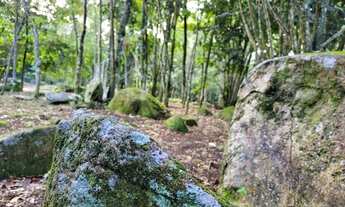 Imagem 7: BELÍSSIMO TERRENO À VENDA COM MATRÍCULA NO SÃO PEDRO EM ILHABELA-SP