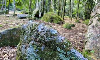 Imagem: BELÍSSIMO TERRENO À VENDA COM MATRÍCULA
