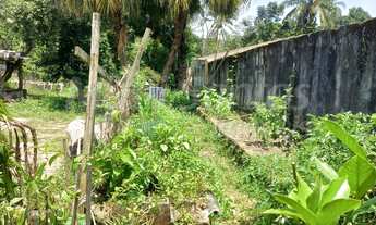 Imagem 6: TERRENO PLANO COM GALPÃO À VENDA NO PORTINHO EM ILHABELA-SP