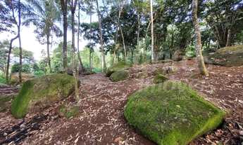 Imagem 2: BELÍSSIMO TERRENO À VENDA COM MATRÍCULA NO SÃO PEDRO EM ILHABELA-SP