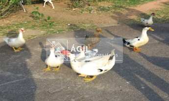 Imagem 3: Terreno a venda de 1.000 m² no condomínio Mirante do Vale - Jacareí - SP