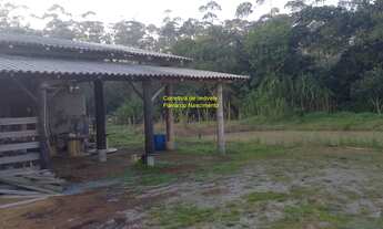 Imagem 5: SITIO RURAL em BALNEÁRIO PIÇARRAS - SC, Bairro morro auto