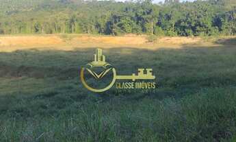 Imagem 7: Oportunidade única: Sitio à venda em Luiz Alves-SC, no bairro Braço Miguel, com 21.000,00