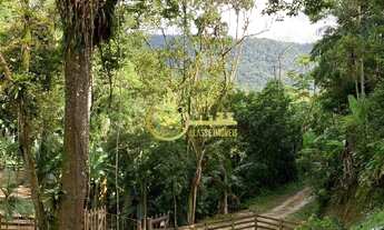 Imagem: SITIO RURAL em BRUSQUE - SC, CEDRO GRANDE