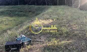 Imagem 4: Oportunidade única: Sitio à venda em Luiz Alves-SC, no bairro Braço Miguel, com 21.000,00
