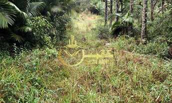 Imagem 3: Terreno à venda em Escalvados, Navegantes-SC 15.000m² de área !