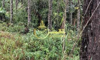 Imagem 4: Terreno à venda em Escalvados, Navegantes-SC 15.000m² de área !