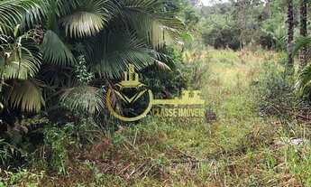 Imagem 2: Terreno à venda em Escalvados, Navegantes-SC 15.000m² de área !