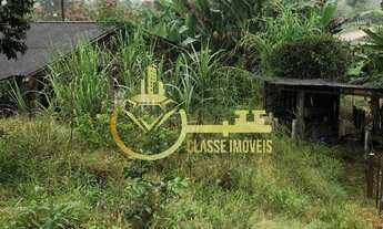 Imagem 3: Sítio à venda em Luiz Alves-SC, bairro Garuva, com 13.000m² de área: uma oportunidade impe